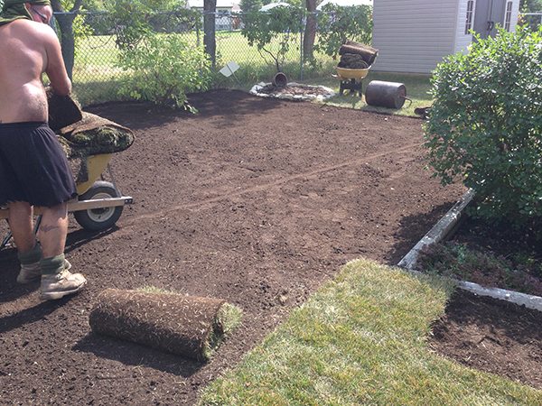 Regrading to improve drainage from back yard | The Lawn Salon