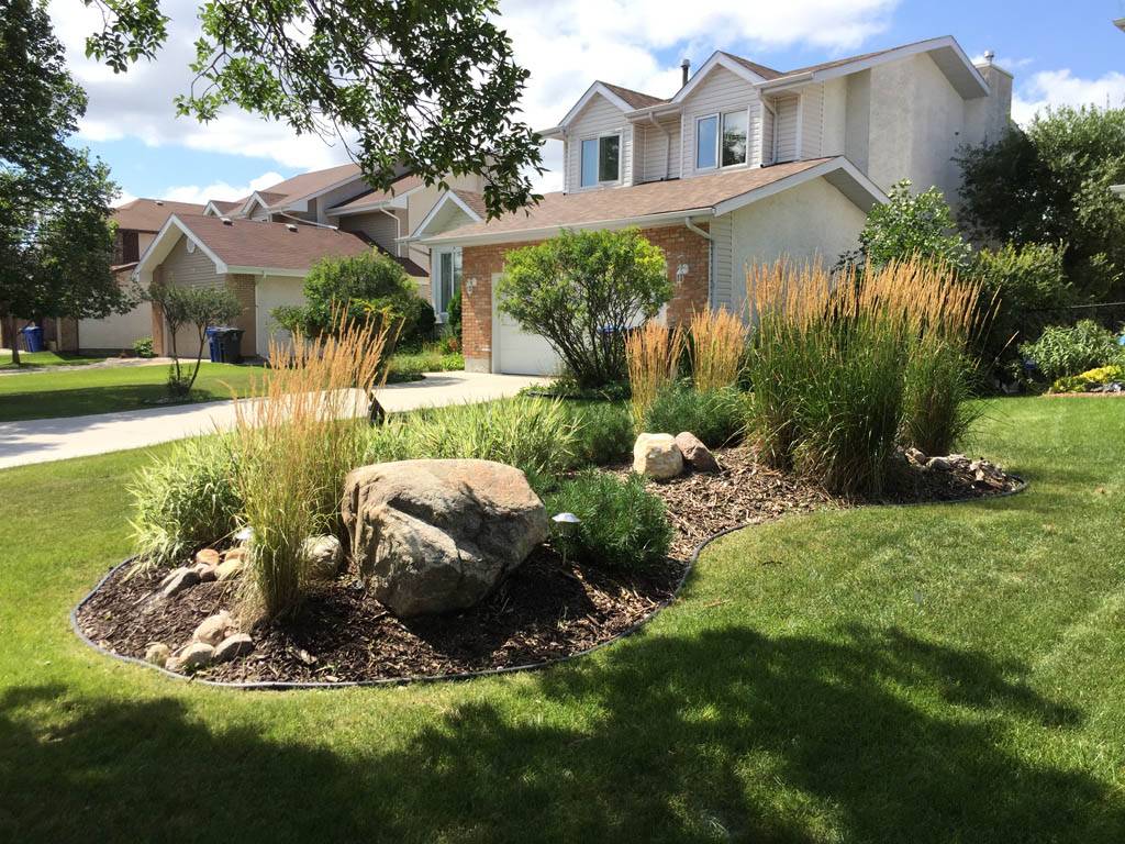 Front yard berm with round boulders, wood mulch, and ...