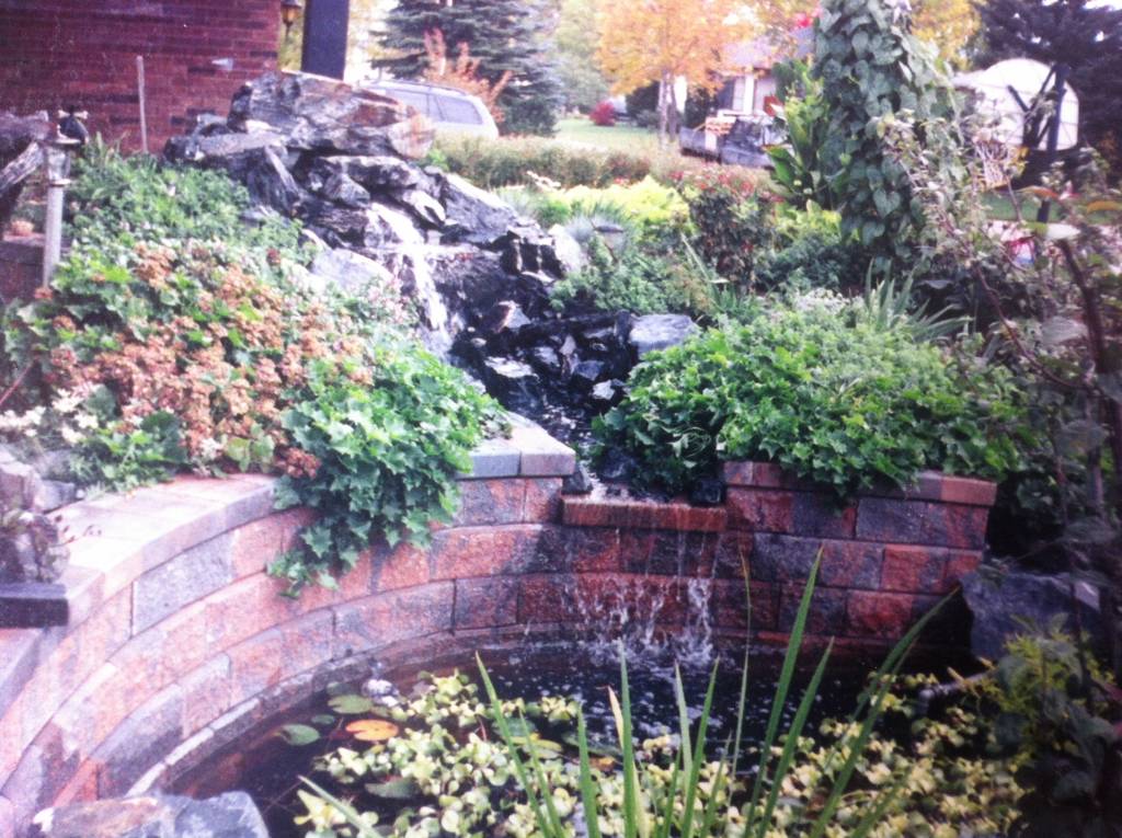 Backyard Landscaping with Water Features