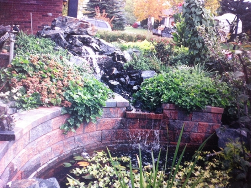Front yard waterfall, stream and pond