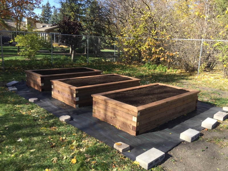 Treated brown wooden planting boxes