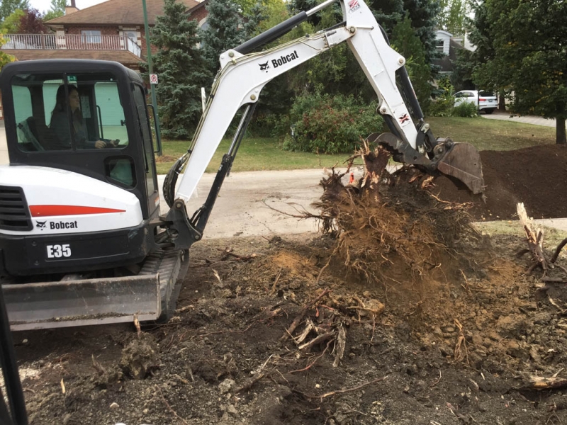 Large stump removal with Bobcat excavator