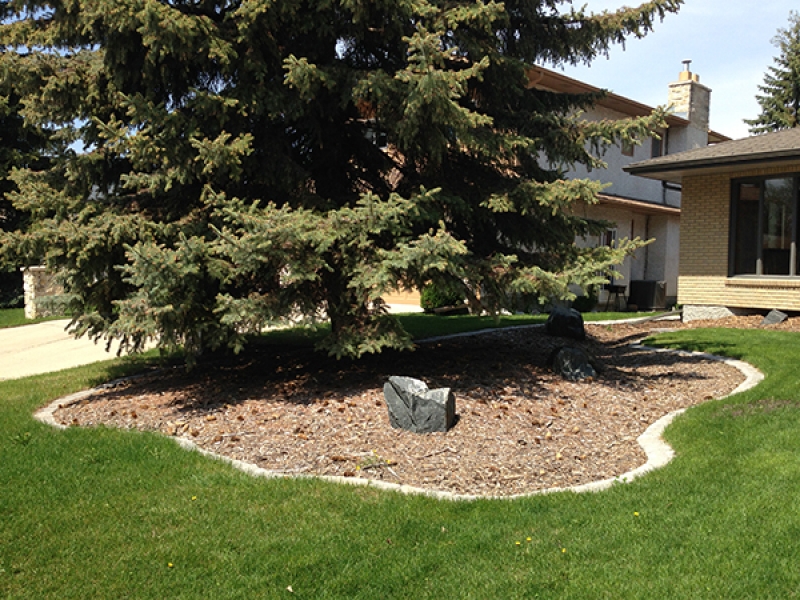 Natural wood mulch, sod, shed with Hardi-board siding, composite deck