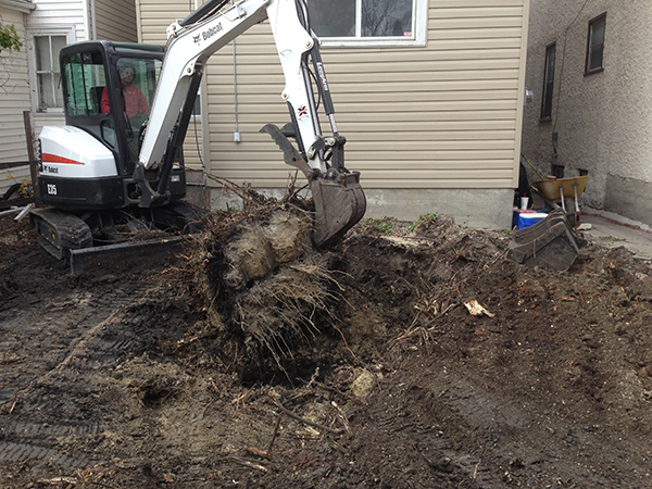 Lead image stump removal.JPG