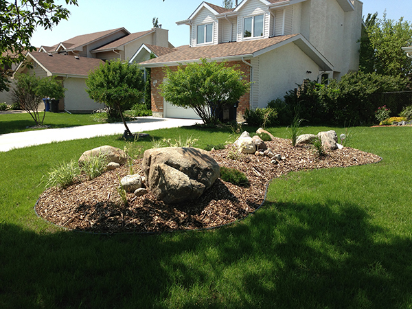 Front yard berm with round boulders, wood mulch and plants (Low maintenance gardens).jpg