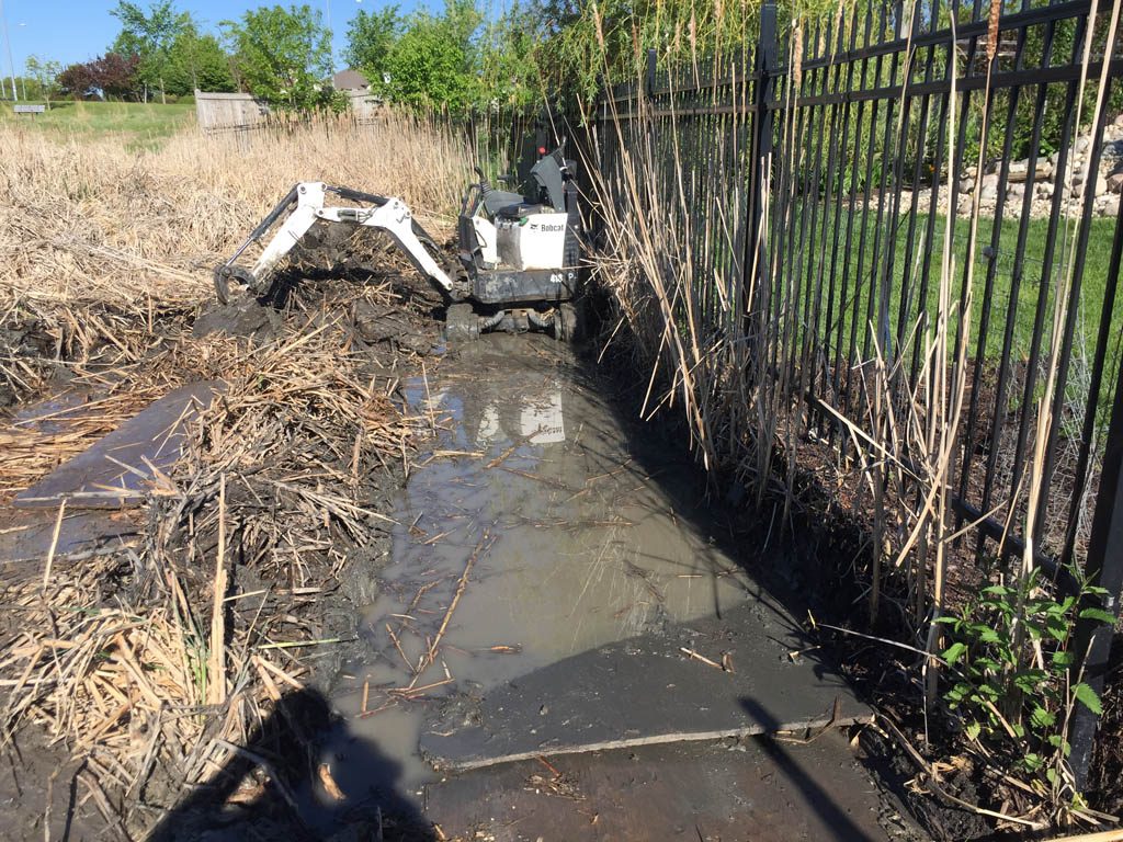 Erosion control for city lake lot