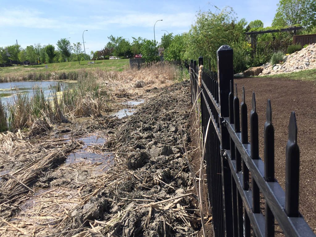 Erosion control for city lake lot