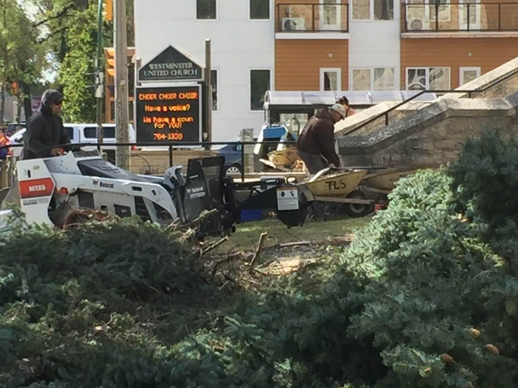 Stump grinding with mini skid steer