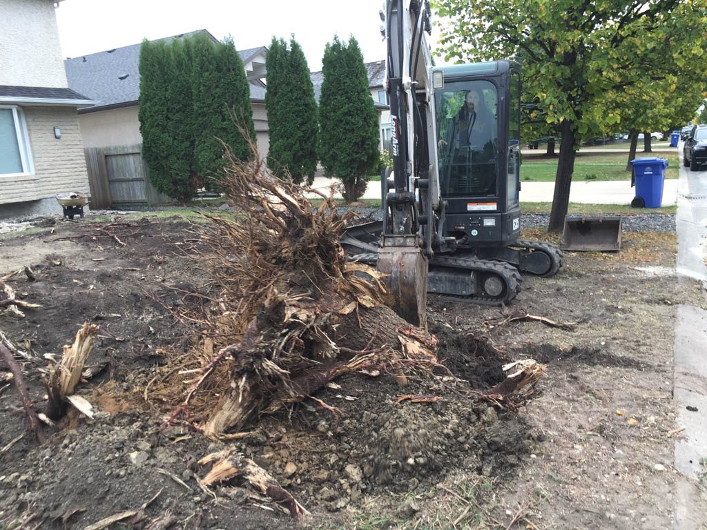 Large stump removal with Bobcat excavator