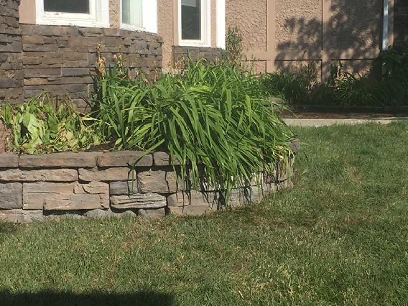 Belvedere Retaining wall front planters in Copper canyon