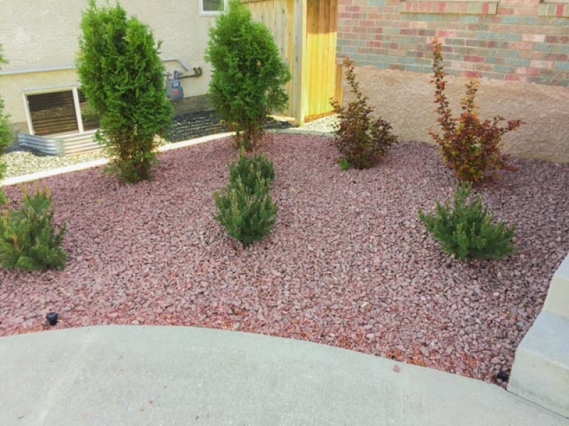 Shrubs with Red Granite decorative stone