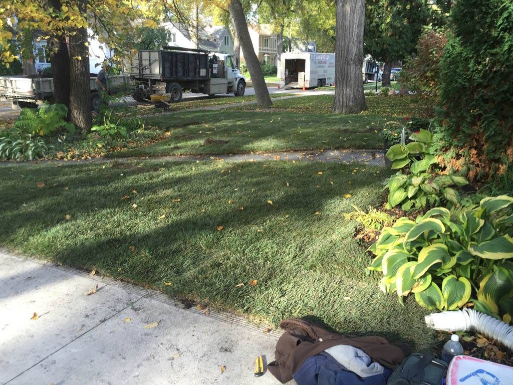 Mineral sod on front yard (sodding)