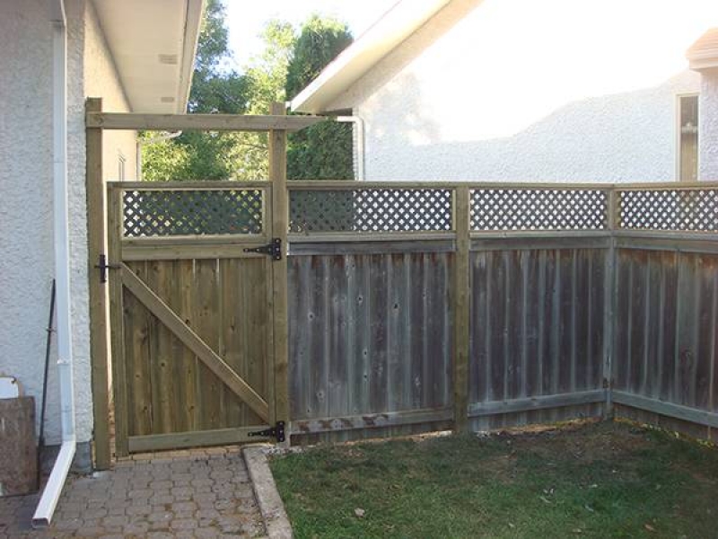 New gate and lattice top for existing fence. (fences)