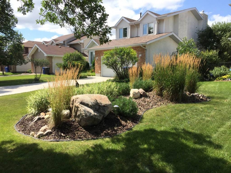 Front yard berm with round boulders wood mulch and plants