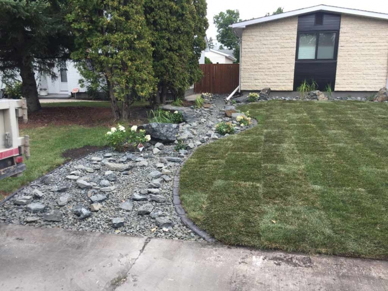 Front Yard Makeover with Roman Paver walk, Black Granite Boulders, Plants, Sod